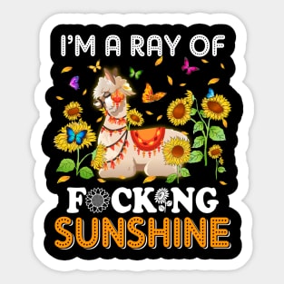 I'm A Ray Of Focking Sunshine Llama Lovers Sticker